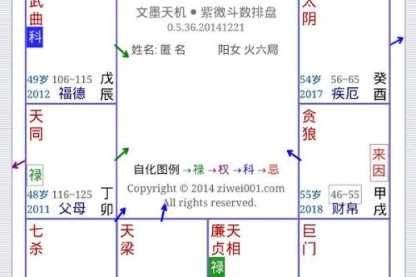 【紫微斗数】排盘技巧037：紫微斗数的国际交流