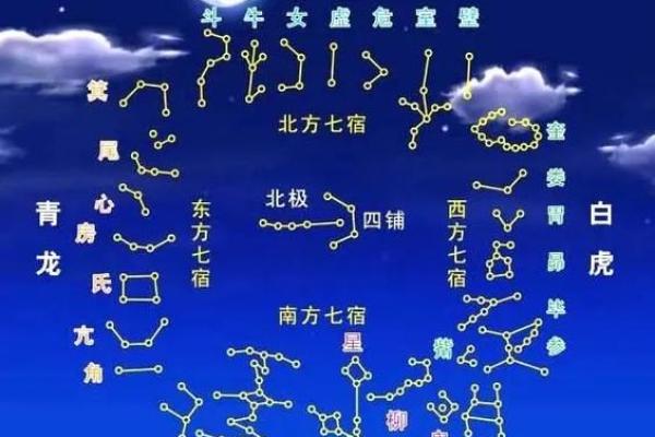 紫薇斗数盘类
