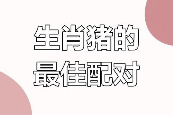 属猪正缘出现在哪年 属猪人婚姻配对表