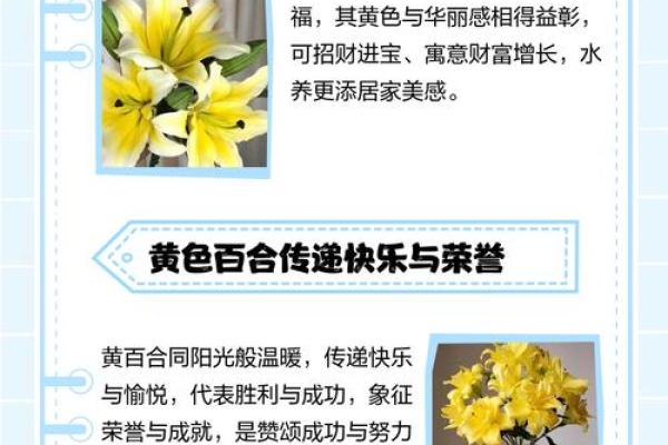 百合姓名配对 名字百合的意思？