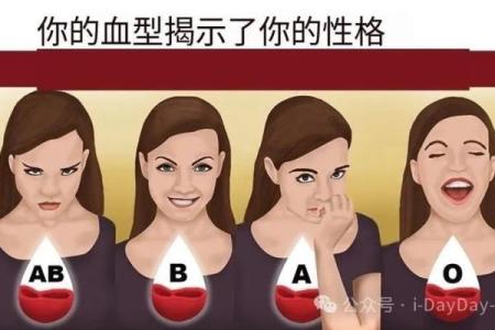 属鼠A血型的人性格与事业姻缘
