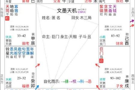 紫薇斗数网页