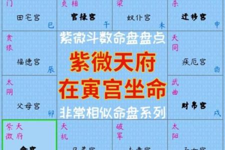紫薇斗数府相