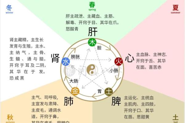 八字干支和命理关系大吗