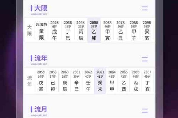 紫薇斗数appios版