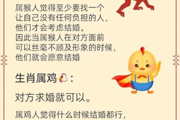 生肖配对属鼠属鸡的婚姻怎么样