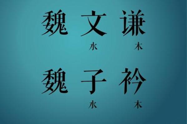 魏姓女孩名字大全-魏姓女孩起名字大全-魏姓名字大全姓名