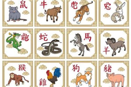 生肖配对-虎和龙的性格特点和最佳组合