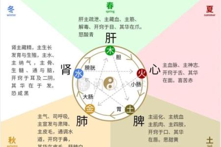 八字干支和命理关系大吗