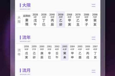 紫薇斗数appios版