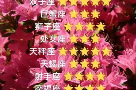 今天的星座运势是什么