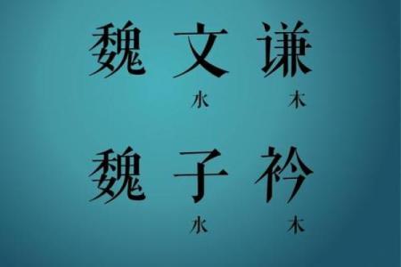 魏姓女孩名字大全-魏姓女孩起名字大全-魏姓名字大全姓名