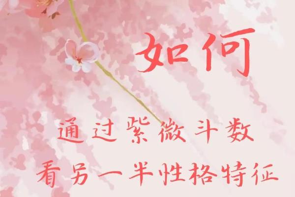 紫薇斗数文案搞笑