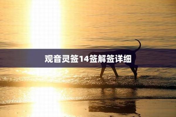 在线抽签观音灵签14签