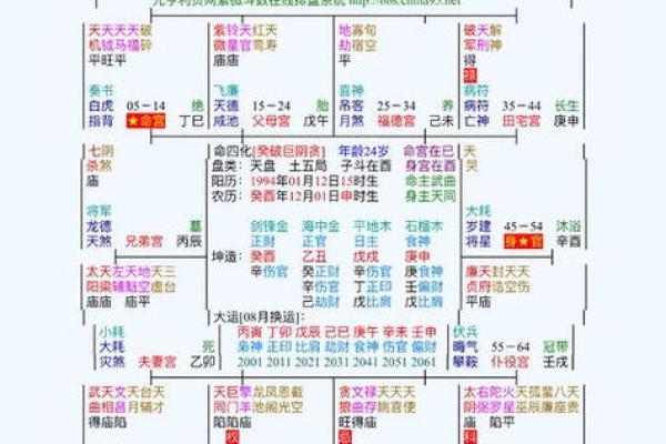 命格查询紫薇斗数