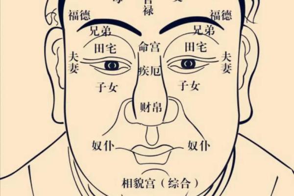 命格查询紫薇斗数