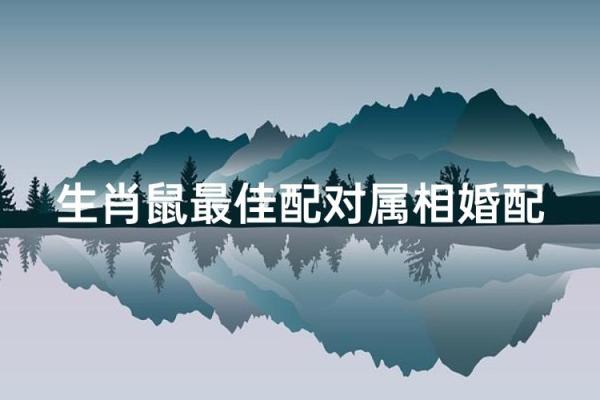 揭秘肖鼠女的属相配对
