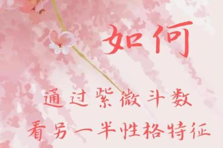 紫薇斗数文案搞笑