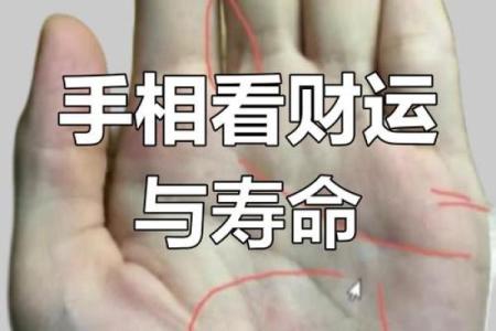 女性左手掌纹手相算命准吗