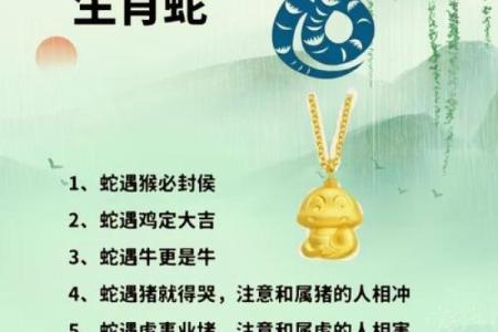 属龙和属鼠的八字合吗