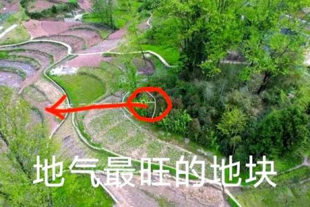 祖坟风水如何看，对后代有影响