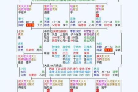命格查询紫薇斗数