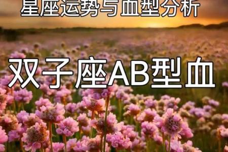 血型对应的神秘星座