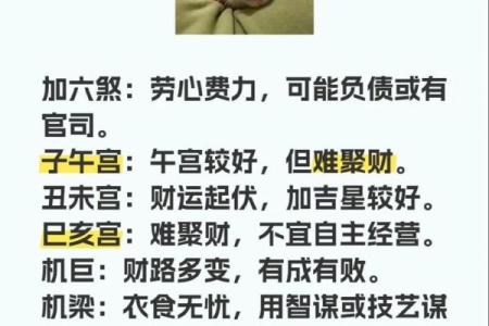 紫微斗数之：论财运