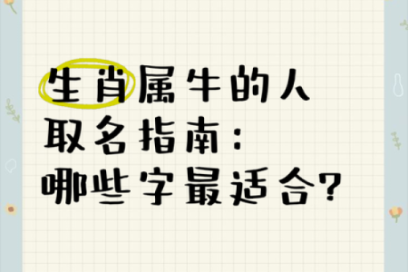 下午3点出生的属牛男孩怎么取名好姓名