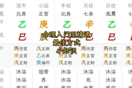 八字初学