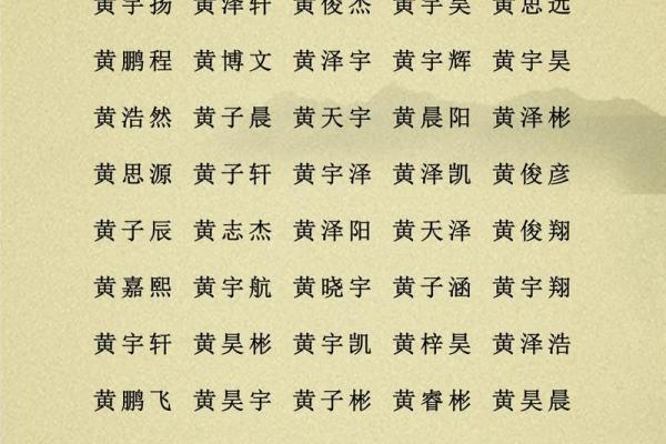 2019年6月18号子时出生的男孩起名方法姓名