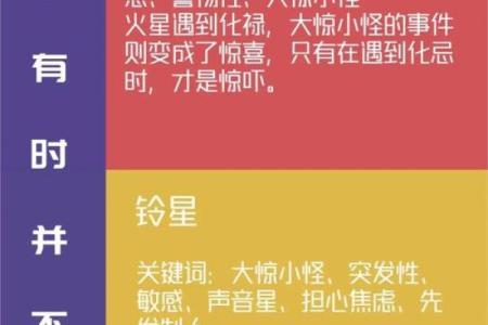 紫薇斗数意思