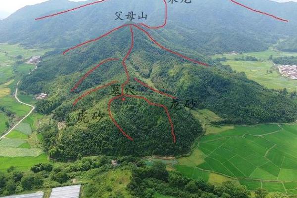 如何看阴宅风水，阴宅风水禁忌