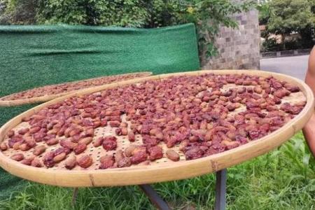 风水祭拜祖先上供水果三大禁忌须知