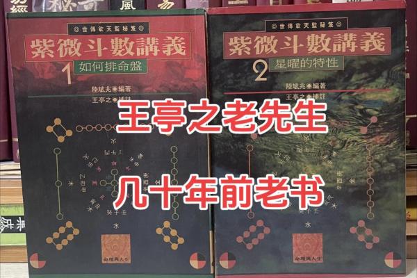 我的之一本紫薇斗数书