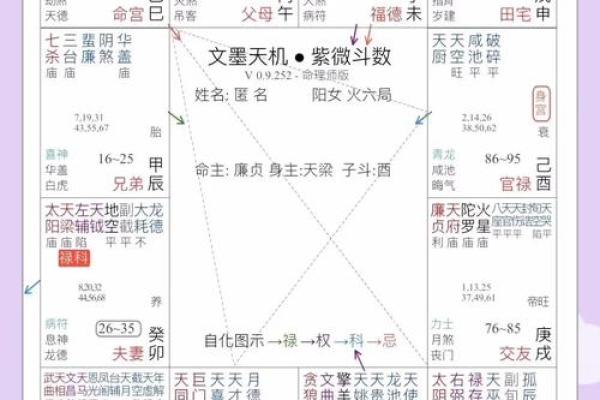 紫薇斗数命主禄存星