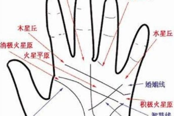 图解：手相希望线算命会得到结果