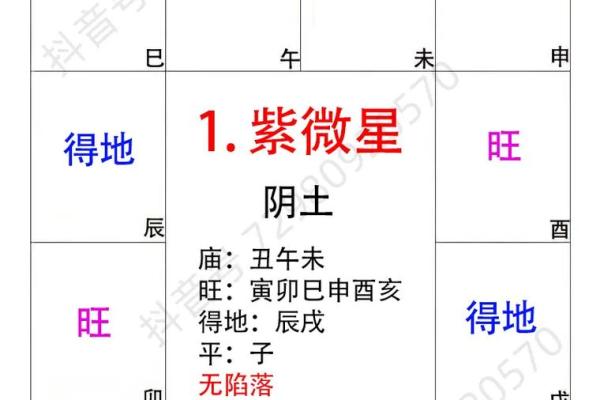 紫薇斗数主星相同