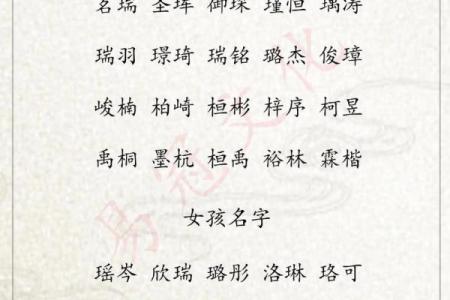 2019年4月22号寅时出生的男孩起名方法姓名