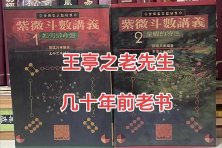 我的之一本紫薇斗数书