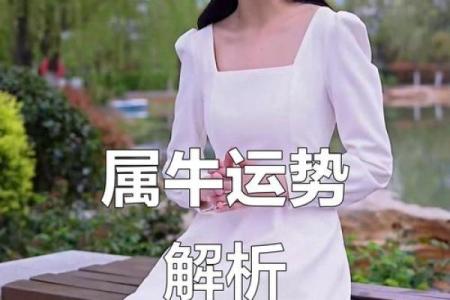 农历四月出生属牛女孩字起名大全,女孩命运解析姓名