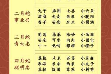 起名免费取名打分测试结果,起名网免费打分测试