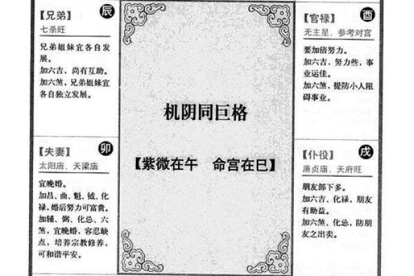 命带紫薇星是什么意思