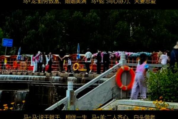 马跟什么生肖配对最好 生肖马最佳配对