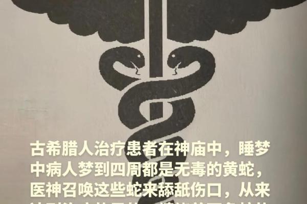 算命人说我是蛟龙,蛟龙命好吗
