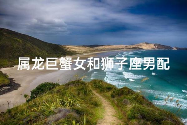 巨蟹男和狮子女配对指数 巨蟹男和狮子女在一起合适吗