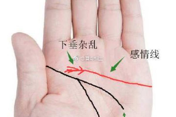 揪着别人的心算命