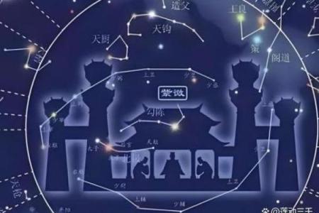 命带紫薇星是什么意思