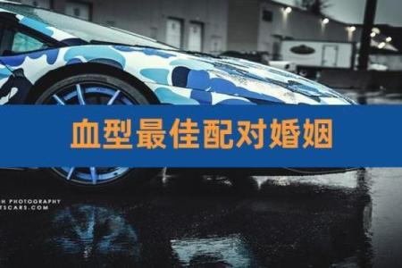 血型看谁的爱情最苦命