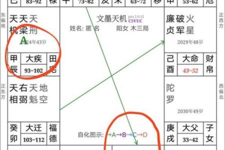 紫薇斗数见吉凶